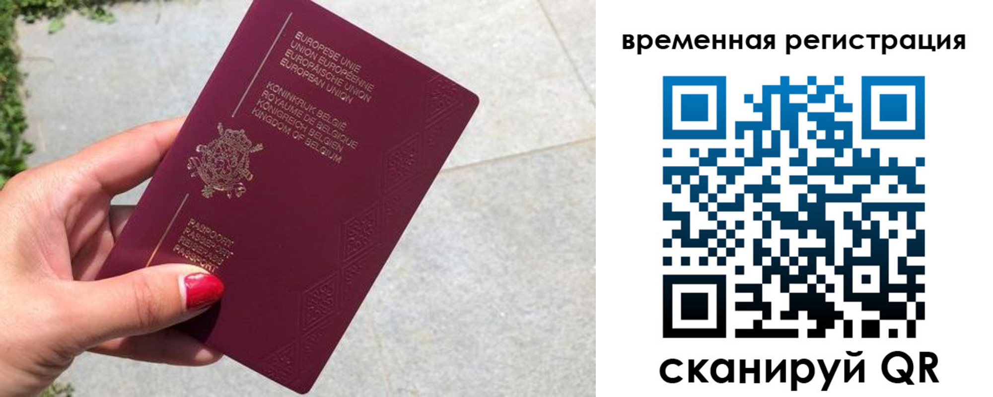 пропишу в квартире в Боровичах